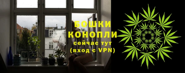спайс Баксан