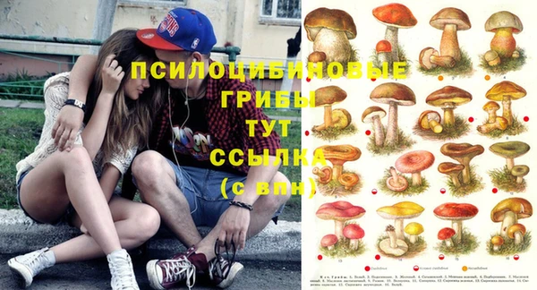 спайс Баксан